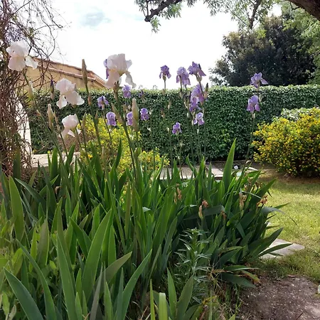 Marius Et Rose En Provence Bouchet